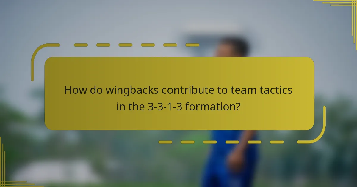 How do wingbacks contribute to team tactics in the 3-3-1-3 formation?