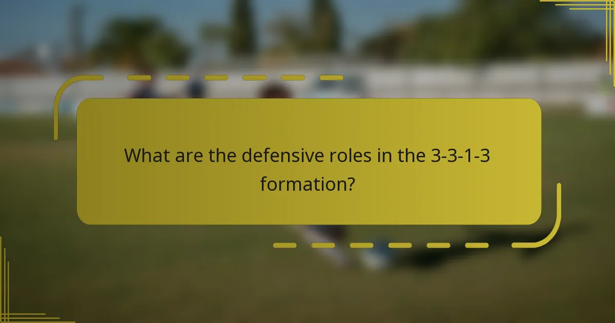 What are the defensive roles in the 3-3-1-3 formation?