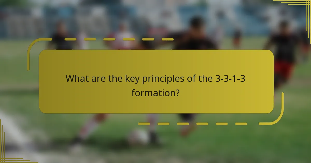 What are the key principles of the 3-3-1-3 formation?