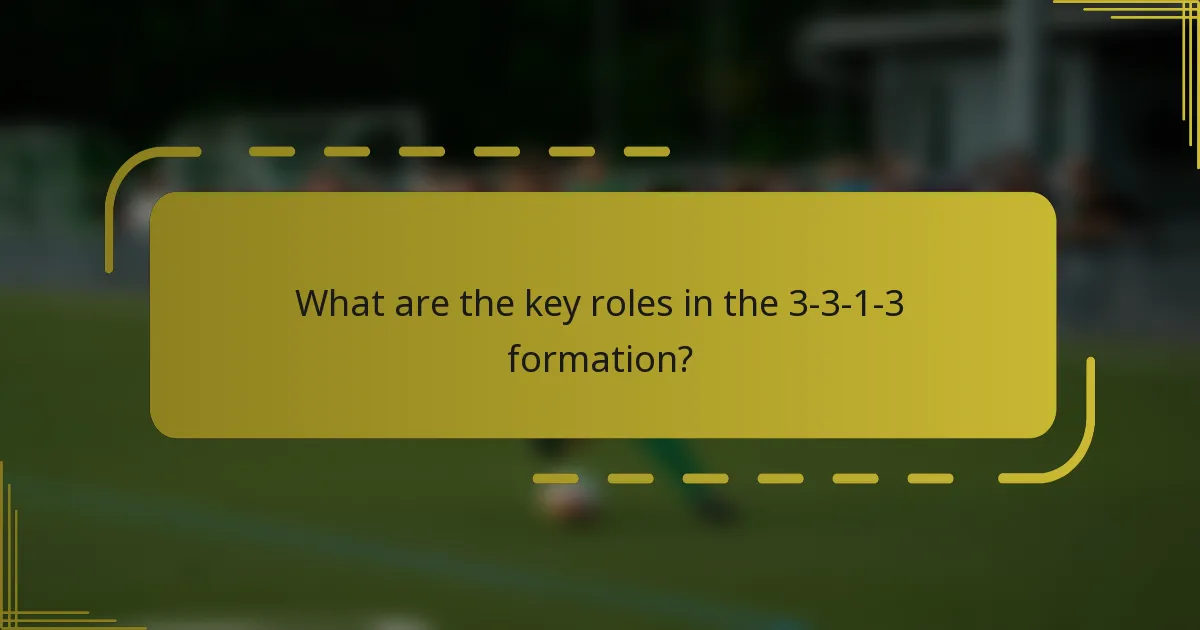 What are the key roles in the 3-3-1-3 formation?