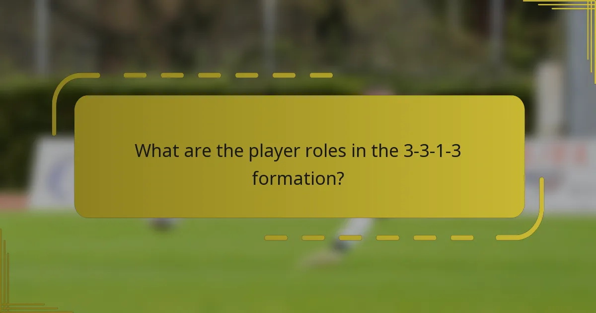 What are the player roles in the 3-3-1-3 formation?